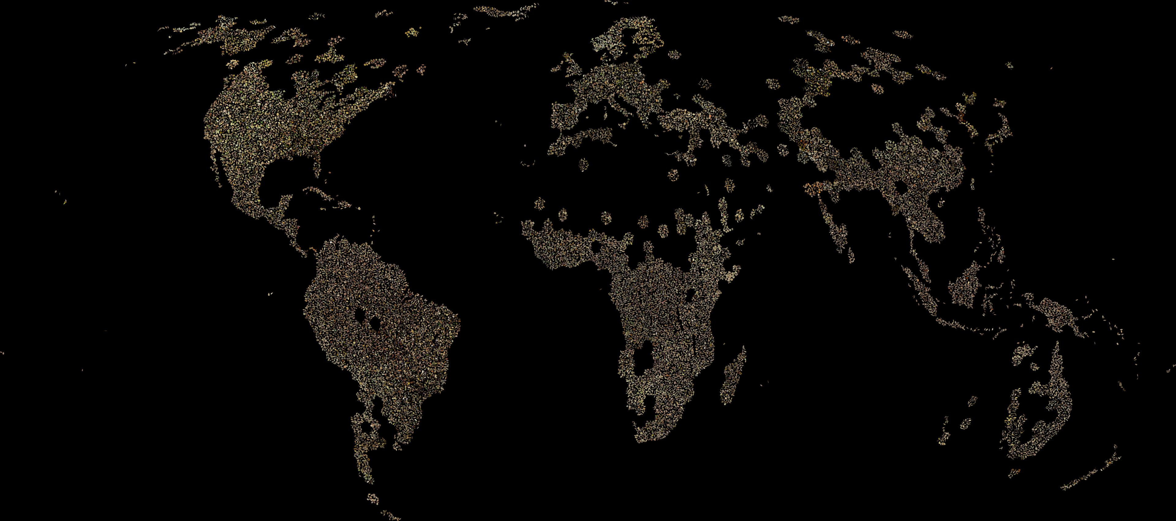 World map drawn from herbarium leaf cutouts